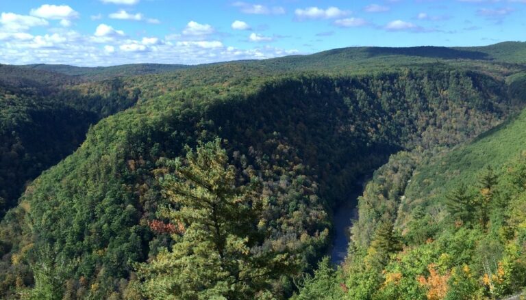 Tioga State Forest | Visit Potter-Tioga Pennsylvania