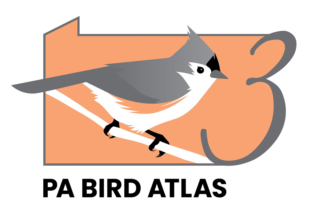 atlas bird tour
